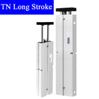 Pneuamtic Double Rod Pneumatic Piston Air Cylinder TN10x300 16x200 20x400 Long Stroke 200mm To 500mm