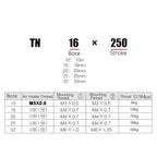 Pneuamtic Double Rod Pneumatic Piston Air Cylinder TN10x300 16x200 20x400 Long Stroke 200mm To 500mm