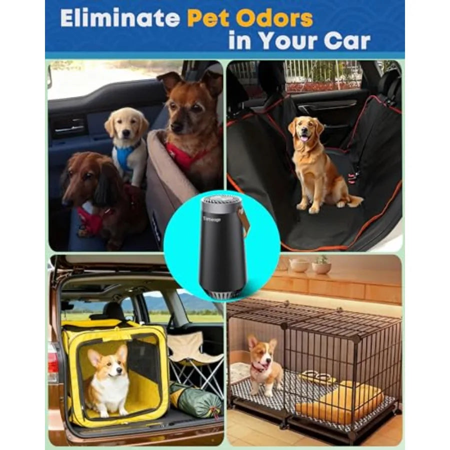 Portable 2-in-1 Ozone Generator and Air Ionizer for Car Home Travel to Eliminate Pet Odor Cigarette Smoke Dust Pollen Filterles Car Mobile World